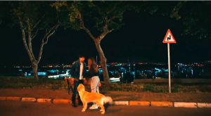 Ekran Alıntısı.PNG 35.20